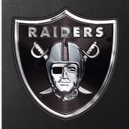 Las Vegas Raiders 3 D decal